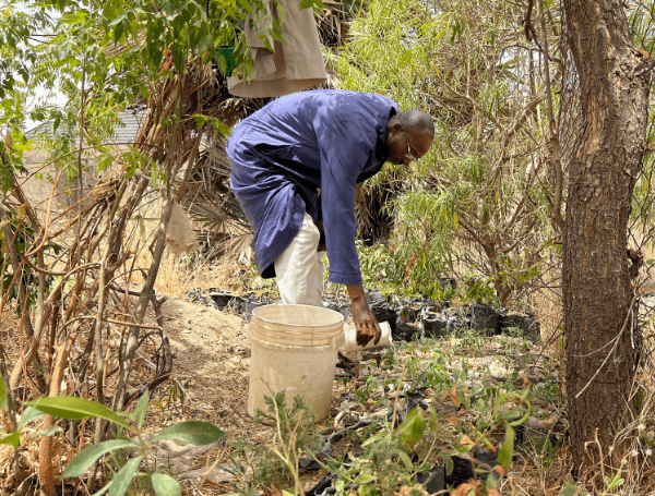 https://li2026.org/wp-content/uploads/2025/06/Goals-Auwal-Haruna-min.png