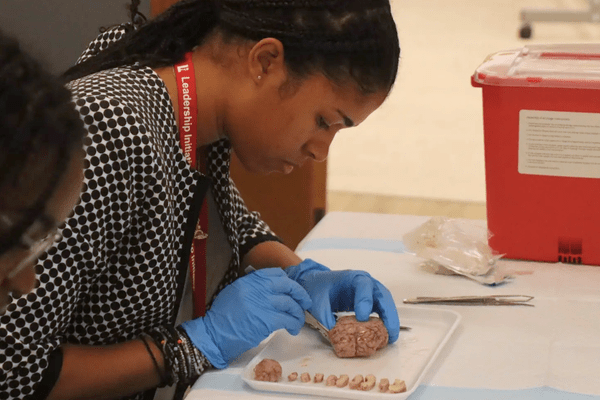 Neuro S1 Alannah Kerr Dissection AB min