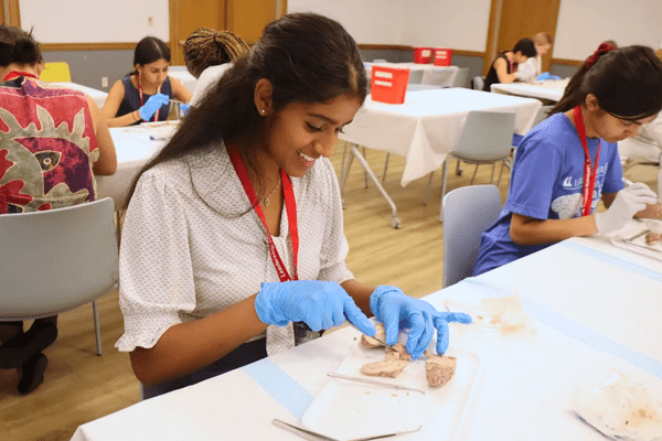 Neuro S1 Harshi Kolli Dissection AB min