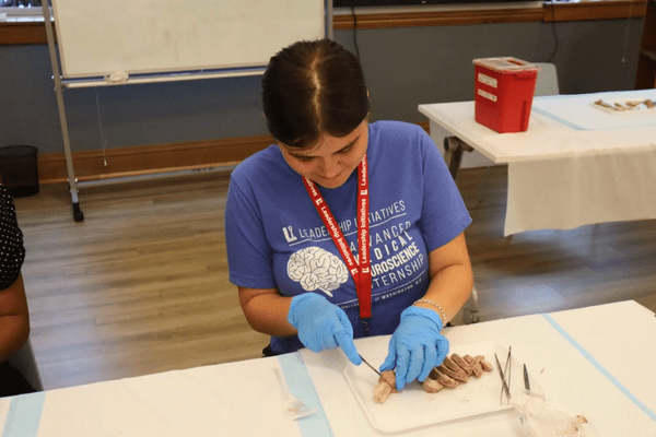 Neuro S1 Jaidyn Mark Dissection AB min
