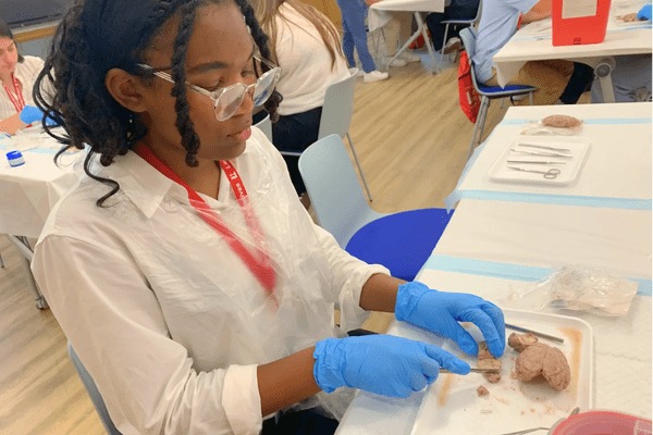 Neuro S1 Willoe Harris Dissection AB min