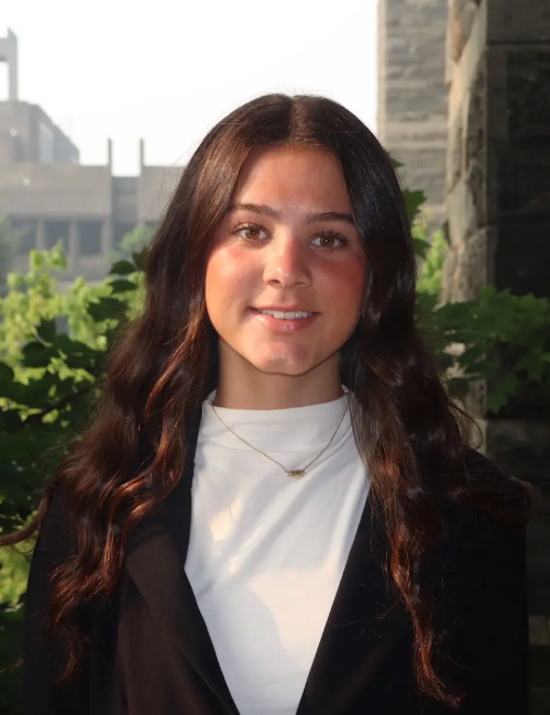 Bus S3 Lila Bernstein