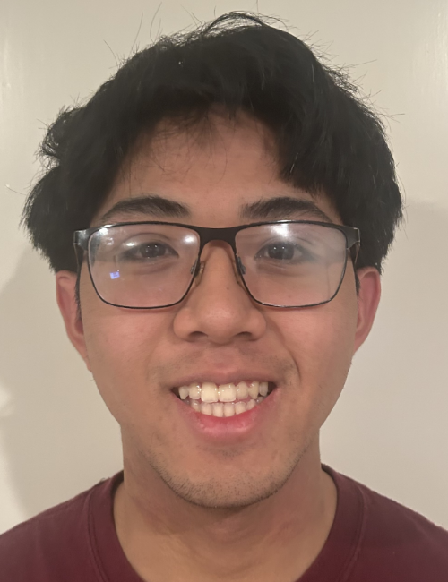 DominicMendoza
