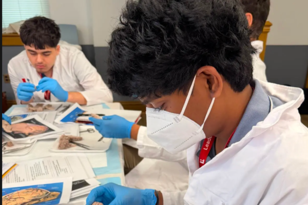Neuro S1 Anish Gorti Brain Dissection.png