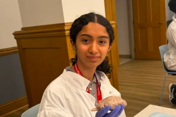 Neuro S1 Chinmayi Adiga Brain Dissection.png