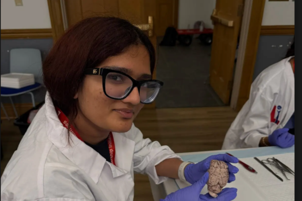 Neuro S1 Khanikka Gupta Brain Dissection.png