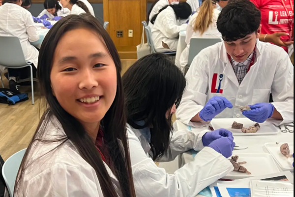 Neuro S1 Siying Wei Brain Dissection.png
