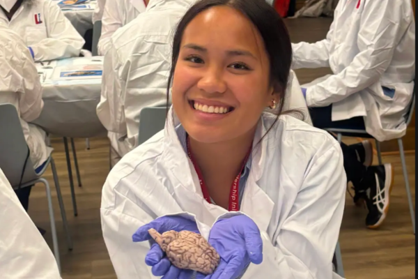 Neuro S1 Skye Schoonmaker Brain Dissection.png