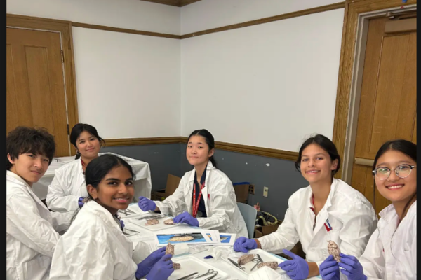 Neuro S1 Skyler Yoo Brain Dissection.png