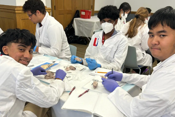 Neuro S1 Thomas Le Brain Dissection.png
