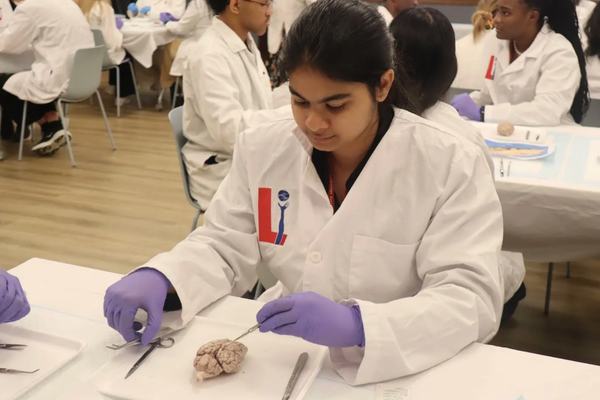 Neuro S3 Ivaanka Soni Brain Dissection