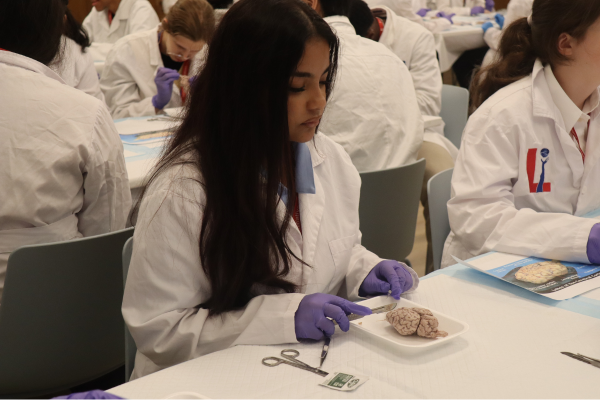 Neuro S3 Raiyana Jannat Brain Dissection
