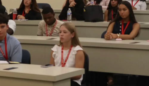 S1 Crim Law Abigail Arnold witness prep.png