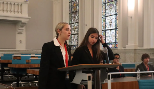 S1 Crim Law Alexandra Perry witness prep.png