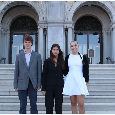 S1 Crim Law Clarisa Aleman Congressional