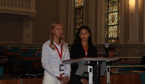 S1 Crim Law Faith Dahlen witness prep.png