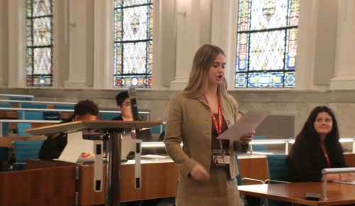S1 Crim Law Nissa Braun witness prep.png