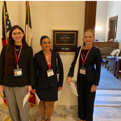 S1 Crim Law Seraphina Iwasa Congressional